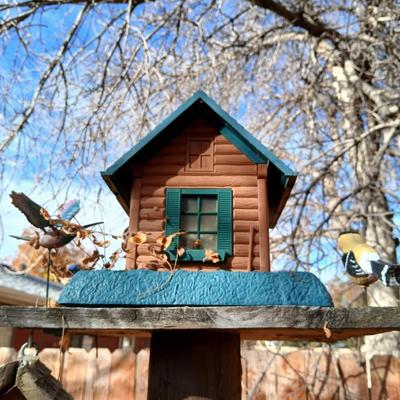 Wooden bird house and log cabin