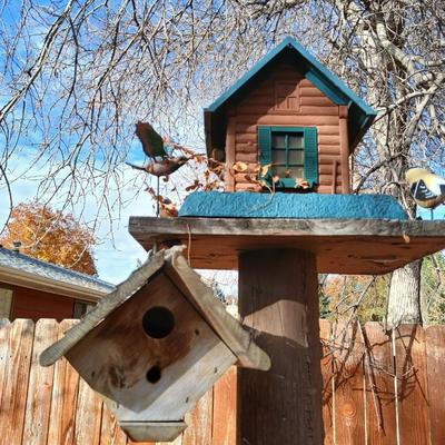 Wooden bird house and log cabin
