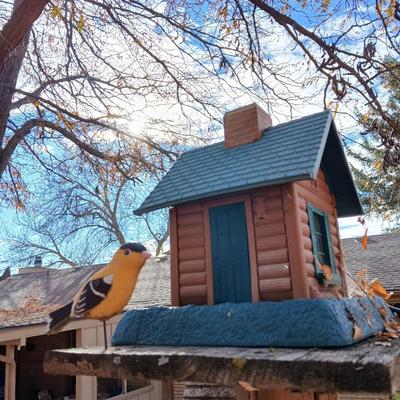 Wooden bird house and log cabin