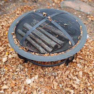 outdoor fire pit with screen cover