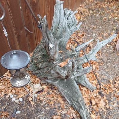 Large unique landscape trunk with hummingbird feeder