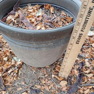 Two large matching flower pots