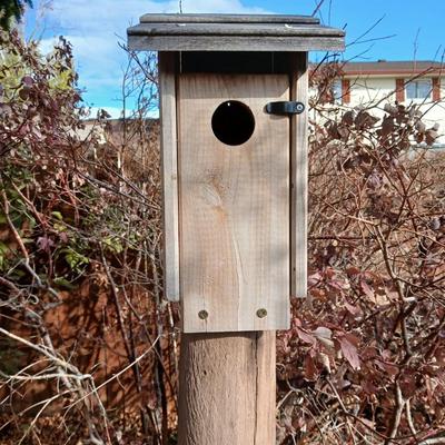 Wooden Bird House