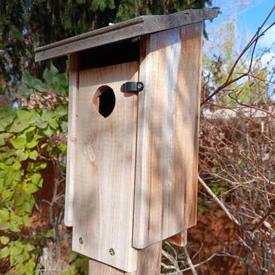 Wooden Bird House