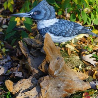 EXCEPTIONAL HAND CARVED WOOD BLUE JAY & HAND PAINTED ON DRIFT WOOD. FATHER/ DAUGHTER CRAFT