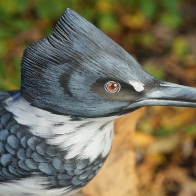 EXCEPTIONAL HAND CARVED WOOD BLUE JAY & HAND PAINTED ON DRIFT WOOD. FATHER/ DAUGHTER CRAFT