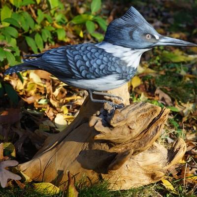 EXCEPTIONAL HAND CARVED WOOD BLUE JAY & HAND PAINTED ON DRIFT WOOD. FATHER/ DAUGHTER CRAFT