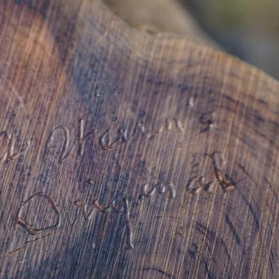 EXCEPTIONAL HAND CARVED WOOD BLUE JAY & HAND PAINTED ON DRIFT WOOD. FATHER/ DAUGHTER CRAFT