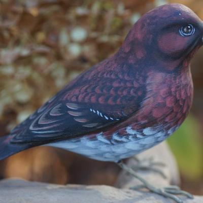 A. WARRENS AND SUSAN CAGLE HAND CARVED & PAINTED BIRDS ON DRIFTWOOD DISPLAY