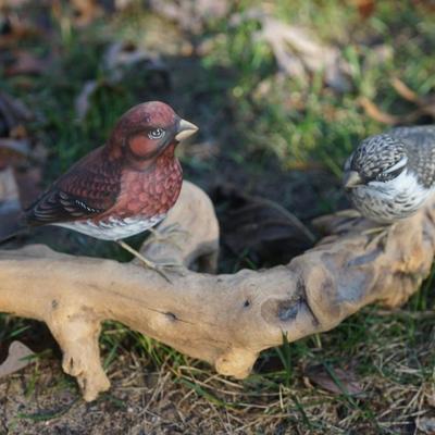 A. WARRENS AND SUSAN CAGLE HAND CARVED & PAINTED BIRDS ON DRIFTWOOD DISPLAY