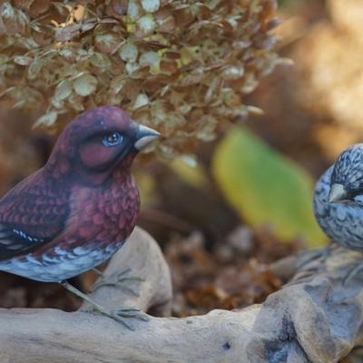 A. WARRENS AND SUSAN CAGLE HAND CARVED & PAINTED BIRDS ON DRIFTWOOD DISPLAY