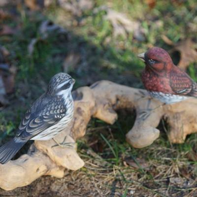 A. WARRENS AND SUSAN CAGLE HAND CARVED & PAINTED BIRDS ON DRIFTWOOD DISPLAY