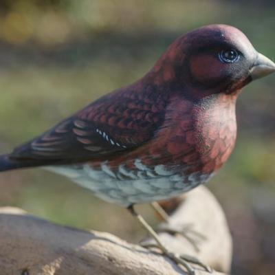 A. WARRENS AND SUSAN CAGLE HAND CARVED & PAINTED BIRDS ON DRIFTWOOD DISPLAY