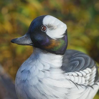 A. WARRENS & SUSAN CAGLE SIGNED CARVED & HAND PAINTED WOOD DUCK ON DRIFTWOOD.