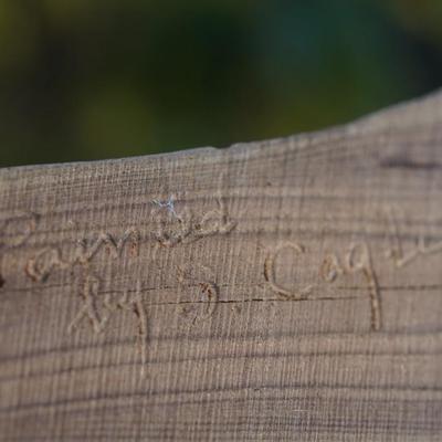 A. WARRENS & SUSAN CAGLE SIGNED CARVED & HAND PAINTED WOOD DUCK ON DRIFTWOOD.