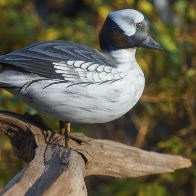 A. WARRENS & SUSAN CAGLE SIGNED CARVED & HAND PAINTED WOOD DUCK ON DRIFTWOOD.