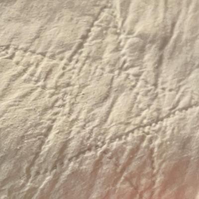 Lot 469 Tulip & Crescent Quilt