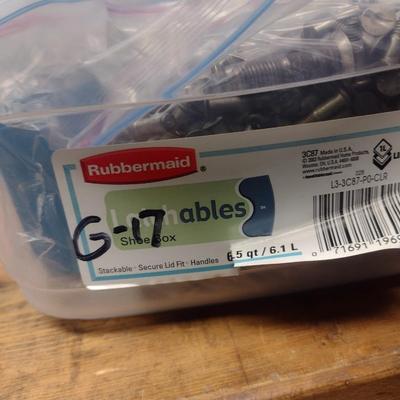 Collection of Fasteners (G17)