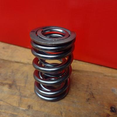 Manley Valve Springs