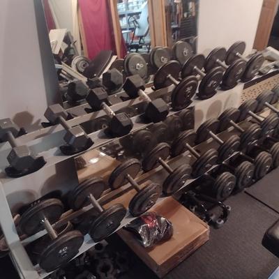 Assorted Dumbbells with Storage Rack
