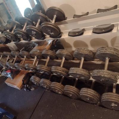 Assorted Dumbbells with Storage Rack