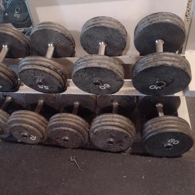 Assorted Dumbbells with Storage Rack