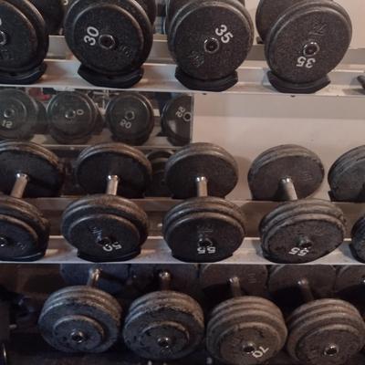 Assorted Dumbbells with Storage Rack