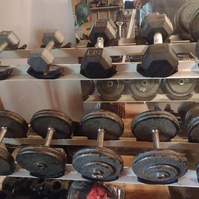 Assorted Dumbbells with Storage Rack