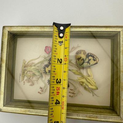 Vintage Framed Butterfly Art