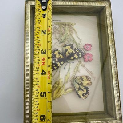 Vintage Framed Butterfly Art