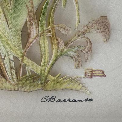 Vintage Framed Butterfly Art