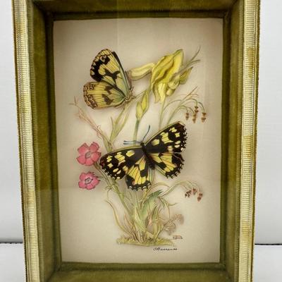 Vintage Framed Butterfly Art