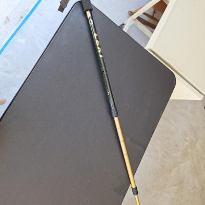 Leki Walking stick telescopic