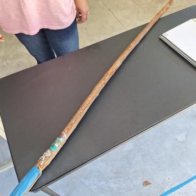Walking Stick Smokey Mountains 2 w/ Hiking marks
