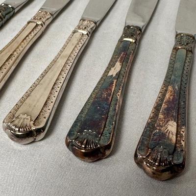 Roger Bros Silver Plated Flatware (ST-DZ)