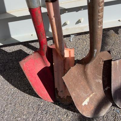 3 Shovels 