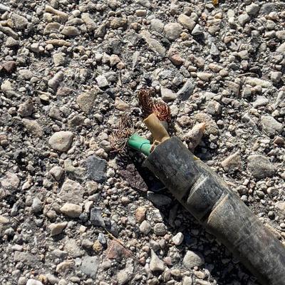 2 Conductor #4 Braided Wire 50 feet