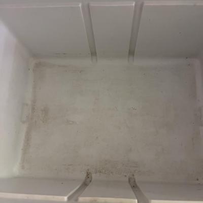 Coleman Cooler 