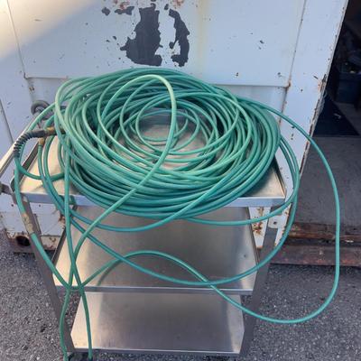 2- 100 Foot Blue Air Hose. 