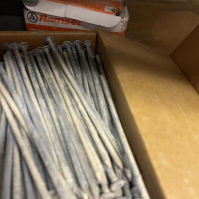 Nails and Screws 