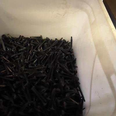 Mixed Lot of Screws 
