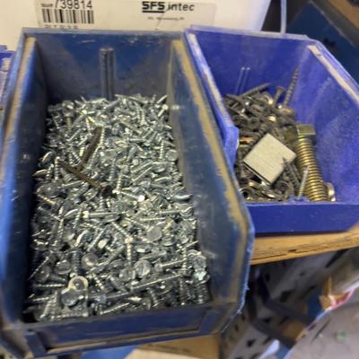 Mixed Lot of Screws 