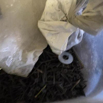 Mixed Lot of Screws 