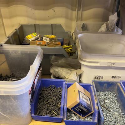 Mixed Lot of Screws 