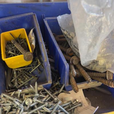 Mixed lot Bolts and Screws
