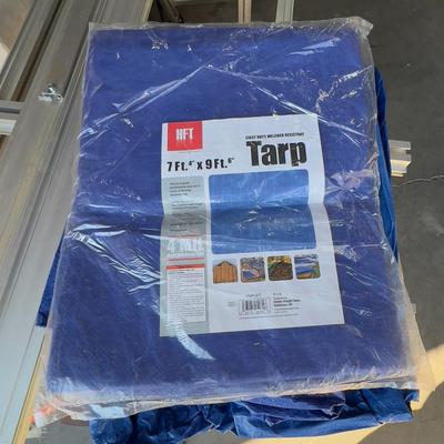 6  Blue Tarps