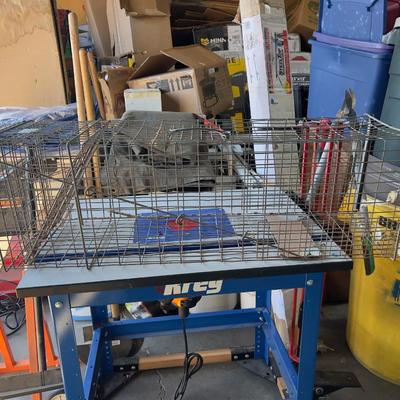 Racoon Trap