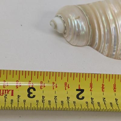 Vintage Mother Of Pearl Shell Napkin Rings
