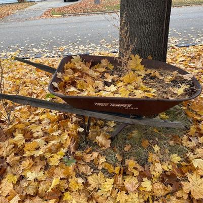 2 vintage wheel barrows