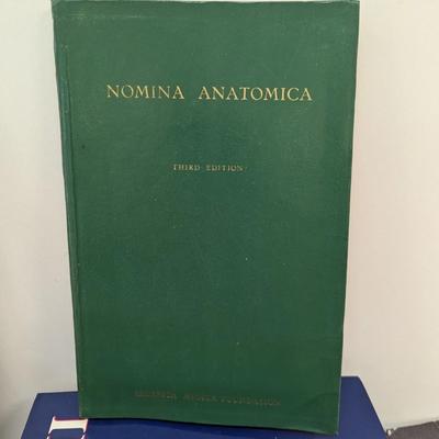 Collection Of Books